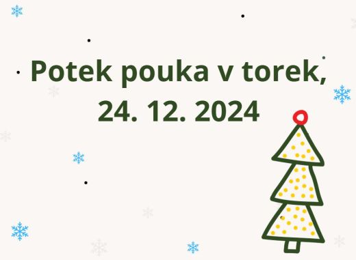 Potek pouka 24. 12.